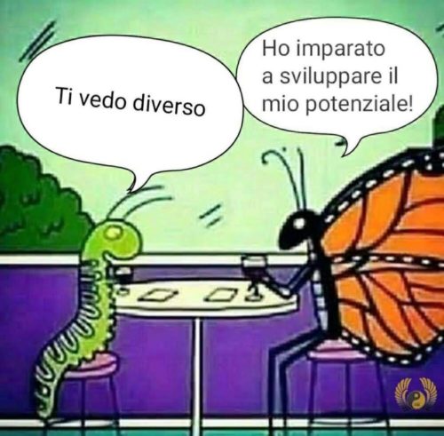 Metamorfico
