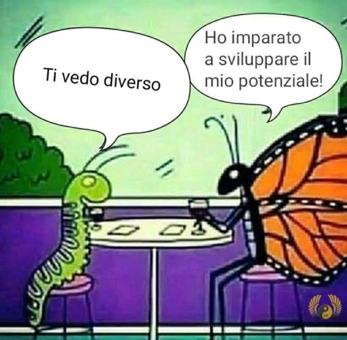 Metamorfico