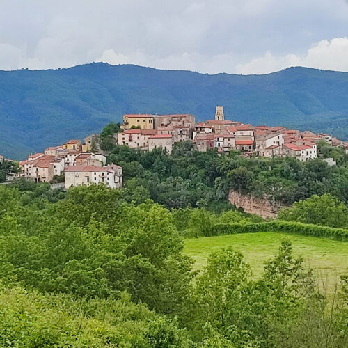 Progetto Campora